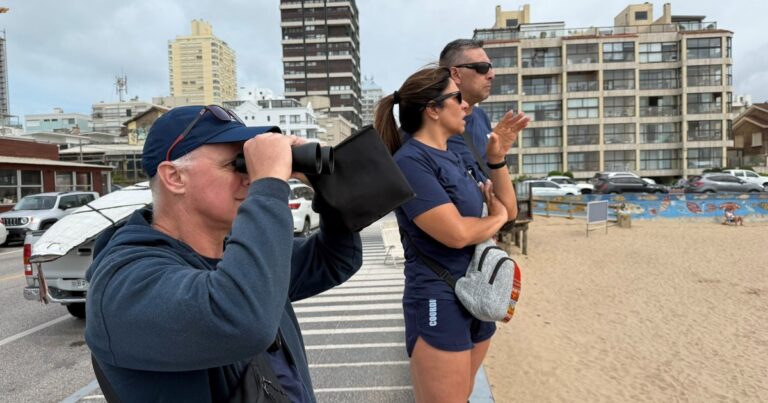 Punta del Este: desapareció un joven argentino que se metió al mar a la salida de una fiesta