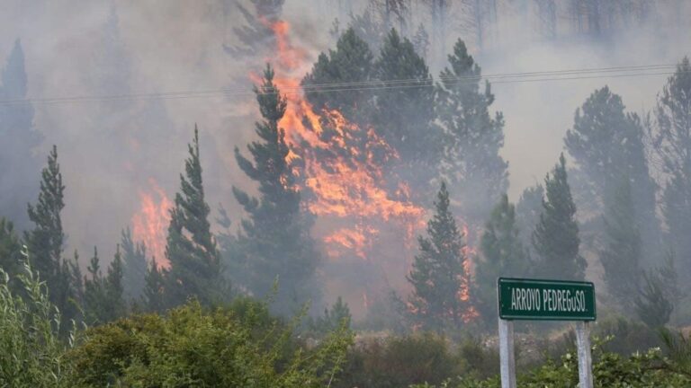 Incendio en Epuyén: más de 2.000 hectáreas consumidas y hay más de 60 evacuados