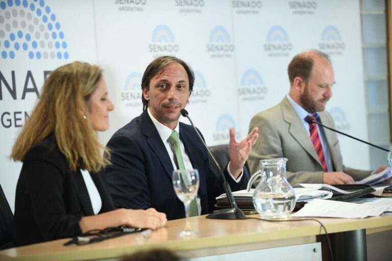 Milei designó a Castro Videla como nuevo Procurador del Tesoro
