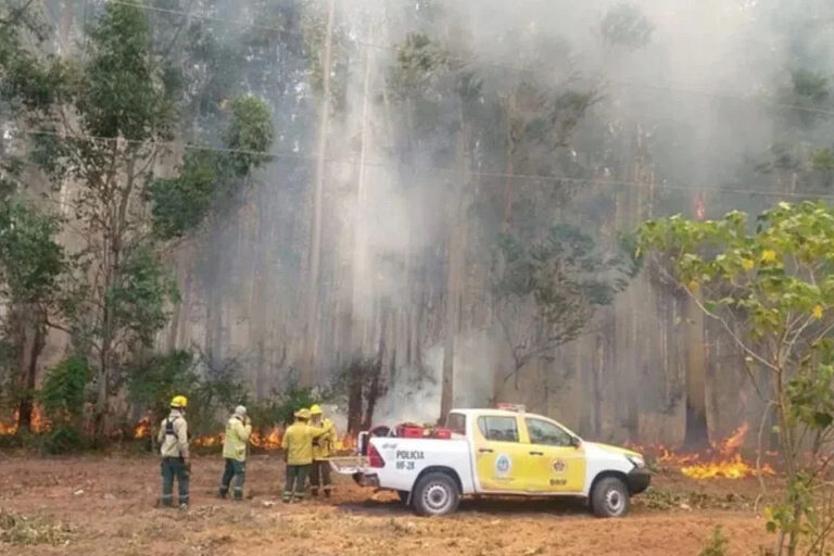Se incendia Corrientes