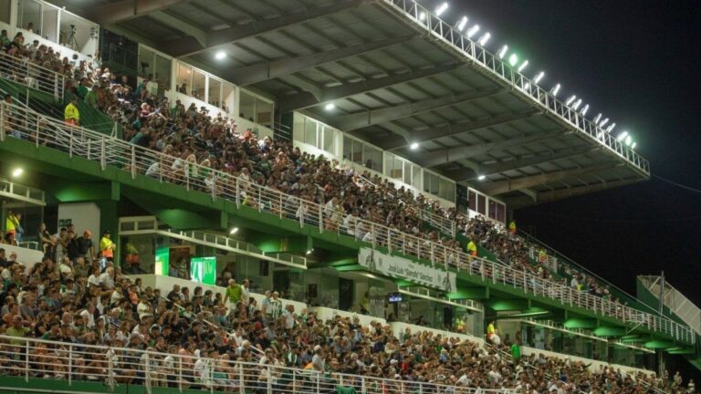Fútbol libre por celular: cómo ver en vivo Banfield vs. Defensa y Justicia