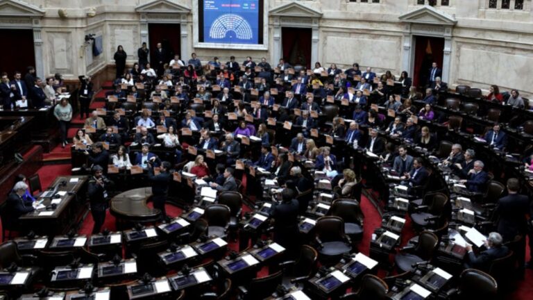 Los proyectos aprobados por el Senado ya ingresaron a la Cámara de Diputados