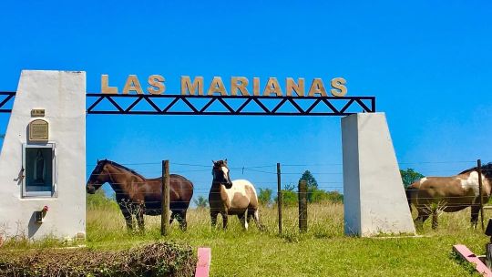1702043-turismo-rural-y-delicias-criollas-dos-pueblos-para-descubrir-a-una-hora-de-buenos-aires