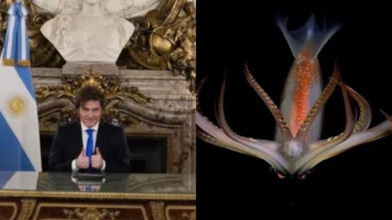 Abrumadora diferencia de visualizaciones entre el streaming del Conicet y la cadena nacional de Javier Milei