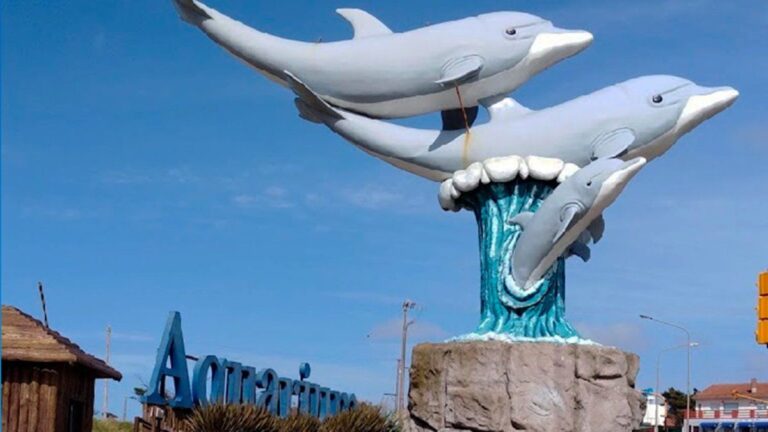Aquarium Mar del Plata cerró sus puertas pero denuncian abandono de delfines: imágenes estremecedoras