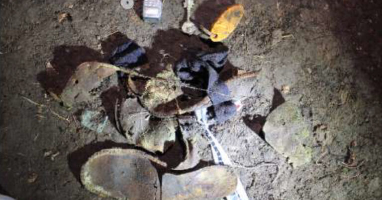 Misterio en Coghlan: piden revisar con un georradar el jardín de los Graf en busca de más restos humanos