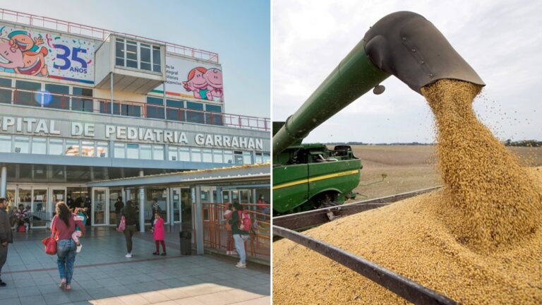 Con solo 2,35 % de la baja de retenciones al agro se podría financiar la emergencia pediátrica