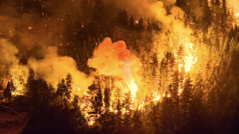 Diputados presentaron un proyecto para declarar la emergencia en la zona patagónica afectada por incendios forestales