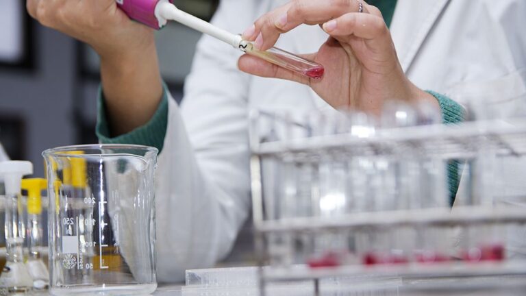 Crean el Programa Nacional «Sello Ciencia Argentina» para impulsar empresas de base tecnológica